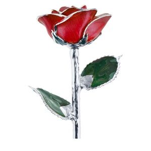 Steven Singer Platinum Plated Red Rose with Green Leaves